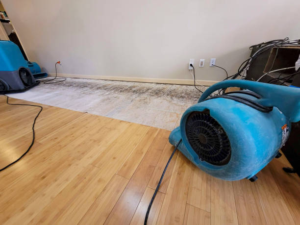 Professional Water Damage Repair technician working in Burton, SC